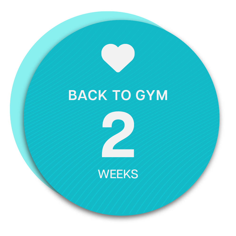 Back to Gym